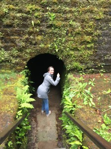 Entrance to the Coal Tunnel