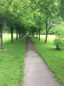 Eglington Park - Path to the Castle