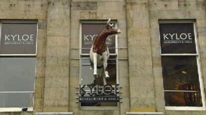 Kyloe Restaurant & Grill